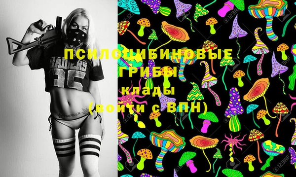 МДПВ Алексин